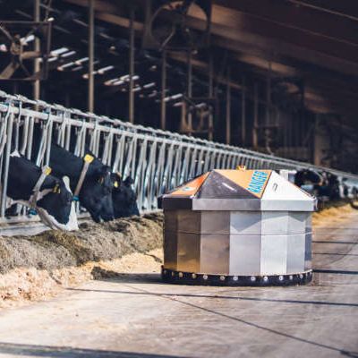 Fütterungsroboter im Stall