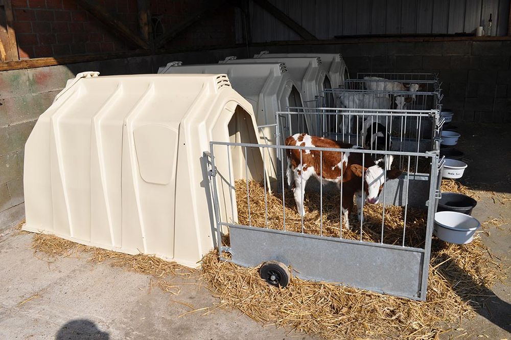 Kälberhütten CalfTel mit FlexyFence